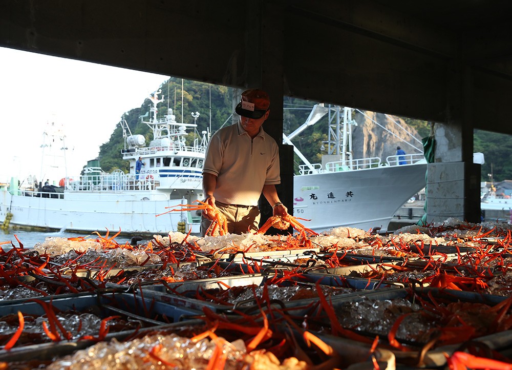 【春を祝う】調理済み冷凍香住ガニ4肩　かに塩、味噌付き！