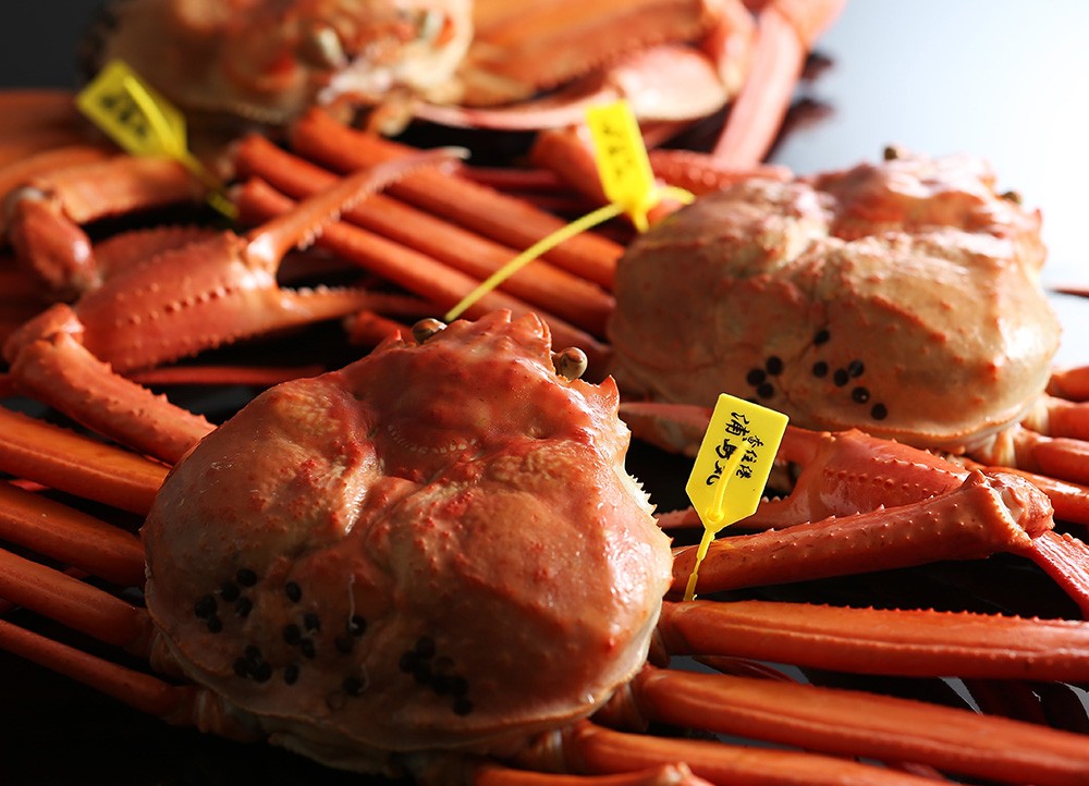 【春を祝う】茹香住ガニ（冷凍・大）